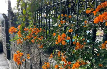 Porto Area, Poolside Sunsets of Vila Boa - Foto 41