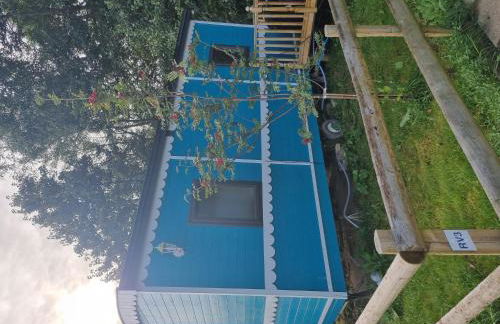 Glamping Hut - Riverview 3 - Foto 15