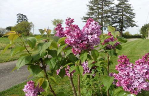 Gîte Le Grand Puy Loup - Foto 14