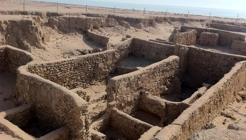 Explora la Isla Failaka - Tour Privado - Foto 3