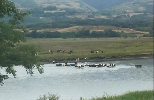 Penestaer - Photo 38