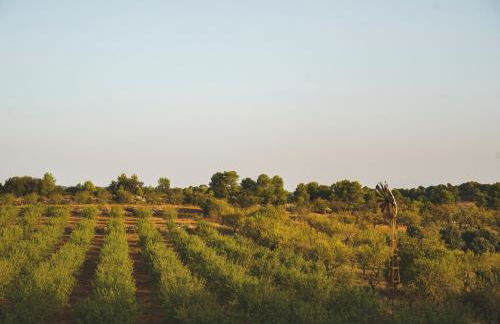 Casa rural Mas del Serranet - Foto 24
