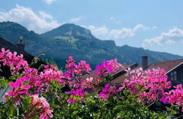 Berge, Wandern, Erholung pur! Fewo Tinka-Haus Katja - Foto 3