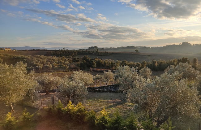 Casa de Vila Seca - Foto 33