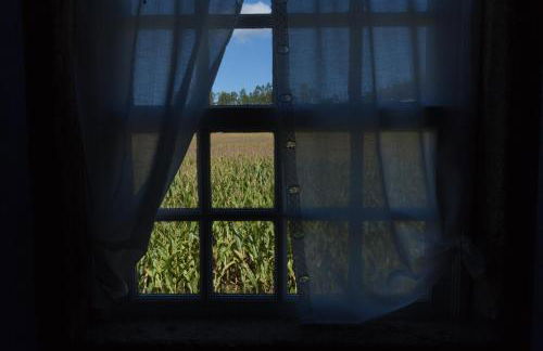 Casa de Assade - Foto 65