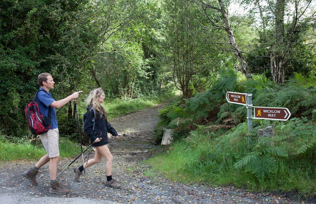 Brittas Bay Holiday Village - Photo 22