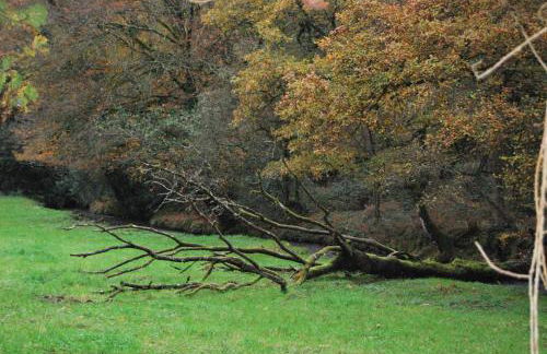 Gite La Chouette - Foto 12