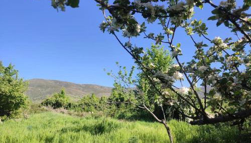 Tiny House en Piedrahita (Ávila) - Photo 3