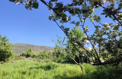 Tiny House en Piedrahita (Ávila) - Photo 3