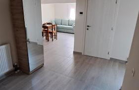 Ανεμώνη Αράχωβα - Foto 19