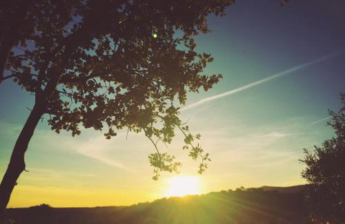 Casa Rural Finca Flores Amarillas - Foto 25