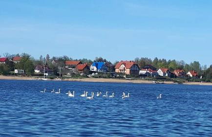 domki Kalskie Impresje - Foto 58