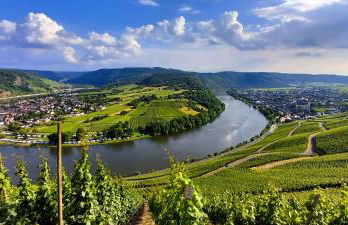 WeinGut Hermes - Foto 69