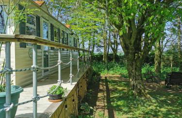 Doughery Den The Dark Hedges Hideaway - Foto 40