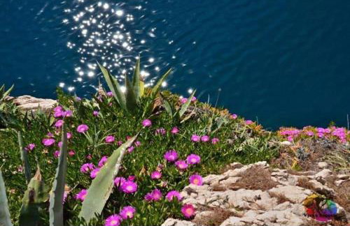 Apartman PINK Živogošće - Photo 18