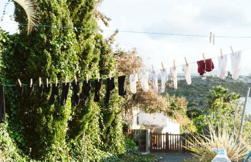 Tortuga blue house in banana plantation - Foto 13