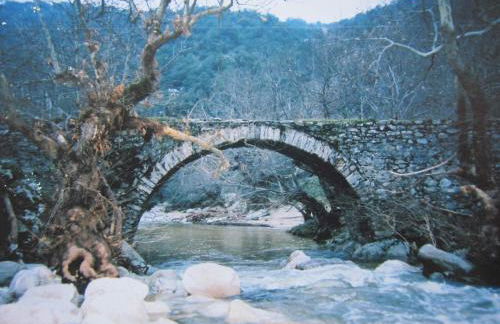 mirmidones Anesis - Foto 46