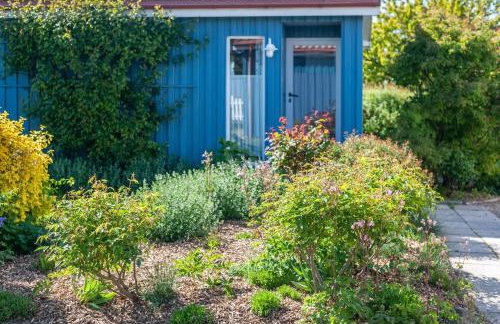 Möve Aba Bungalow 61 - Photo 5