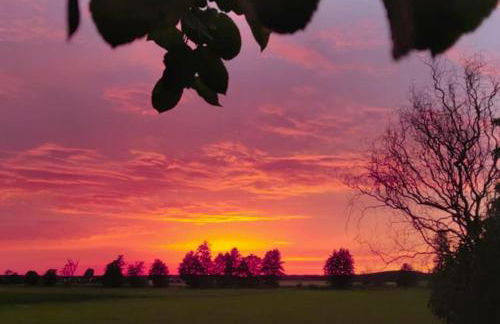 Seenlandliebe Wiesethblick bis 3 Personen - Foto 10