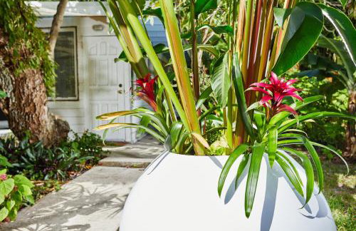 Miami Pool Cottage, tropical garden paradise - Foto 72