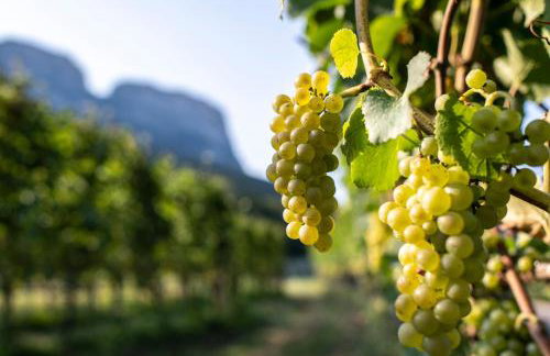 Schmitte am Sonnenwirtsplatz Eppan in South Tyrol, perfect starting point for bike and hike - Foto 18