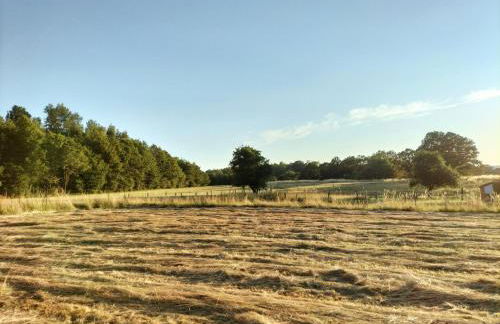 Les capucines la souris des champs - Foto 28