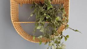 Haus Stefanie Elvire - Foto 3