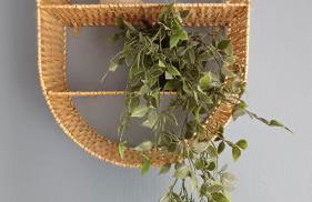 Haus Stefanie Elvire - Foto 3