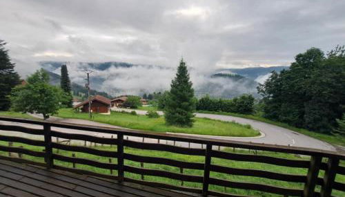 Chalet Le Belvédère, vue exceptionnelle dans les Hautes Vosges - Foto 3