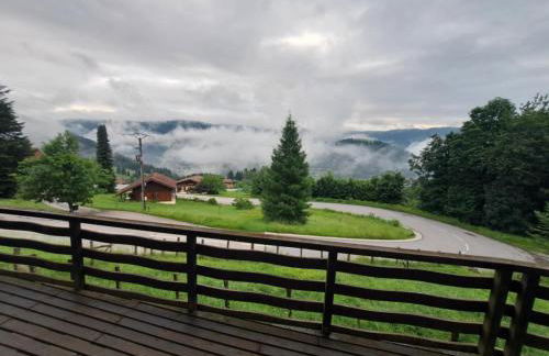 Chalet Le Belvédère, vue exceptionnelle dans les Hautes Vosges - Foto 3