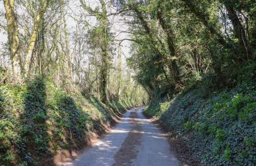 Carver's Rest - Foto 33