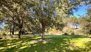 La bergerie des Landes - Foto 5