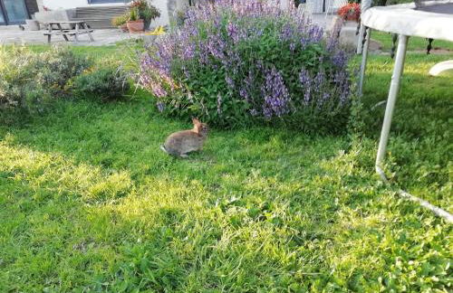 Agroturisme MAS CAN FONT - Foto 37