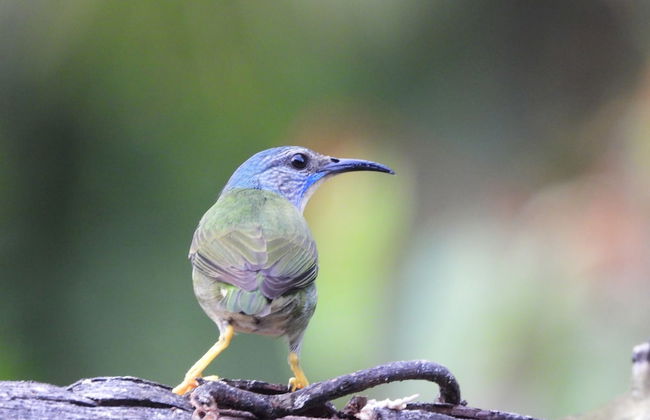 Esquipulas Rainforest - Foto 42
