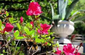 Villa Marchesa - Foto 8