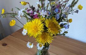 Ferienwohnung Wiesenblümle - Foto 14
