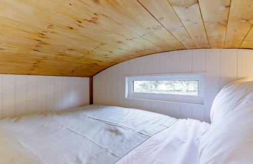 Foxglove - Uk37639 - Photo 4