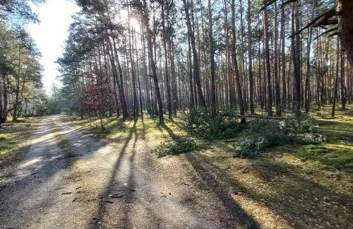 Jeziorskie Zacisze & balia - Foto 26