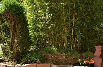 FVH Family Vacation Heidelberg - Foto 31