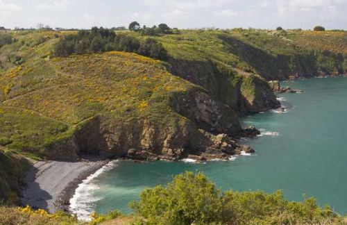 Havre de paix proche de la mer, pointe de Pors Pin - Foto 12