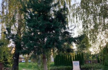 Leśne Domki Premium - Foto 12