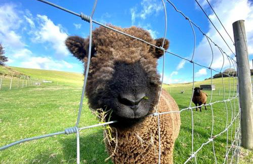 2 Bed in Whitwell oc-o33499 - Foto 18