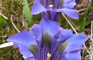 Les Bordes De Paloumières - Foto 62