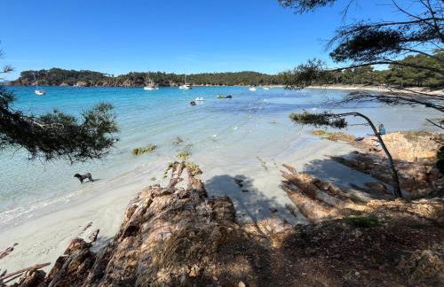 Appartement plage piscine et tennis inclus - Foto 35