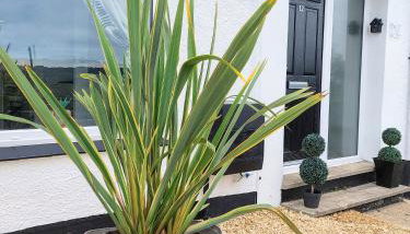 'Serenity in Somerset ' Self Catering House Rental Near Chard , Accomodation for Contract Workers only - Foto 2, Garden, Garden view