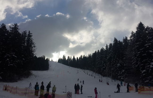 Ski-Lake Cottage Nízke Tatry - Foto 23