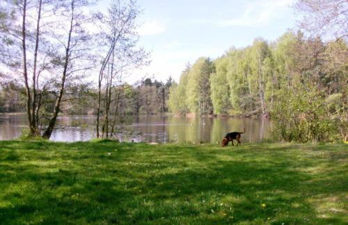 Peaceful Stay in Gehren - Foto 29