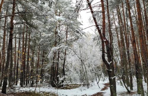 Domek dla dwojga - Photo 31