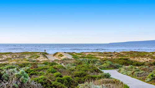 Monterey Dune Dream - Photo 2