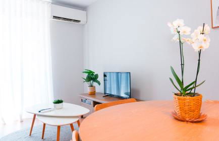 Cervantes Prime - Photo 1